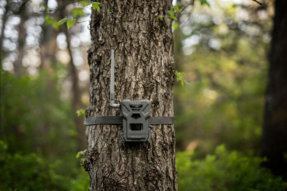 Câmara de Caça Celular Flex-M