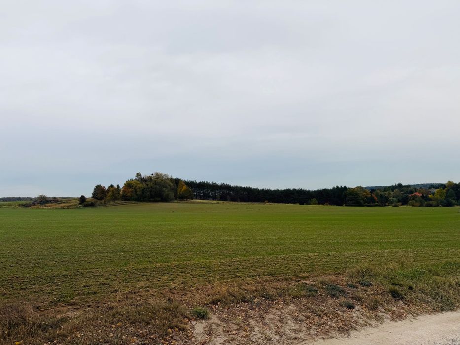 Działka budowlana - pod wymarzony dom - Widok 3