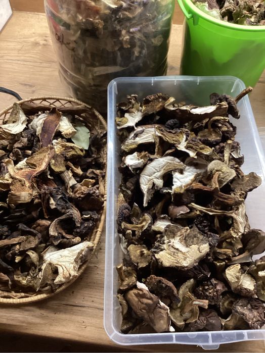 Grzyby suszone podgrzybek,prawdziwek borowik 100gr