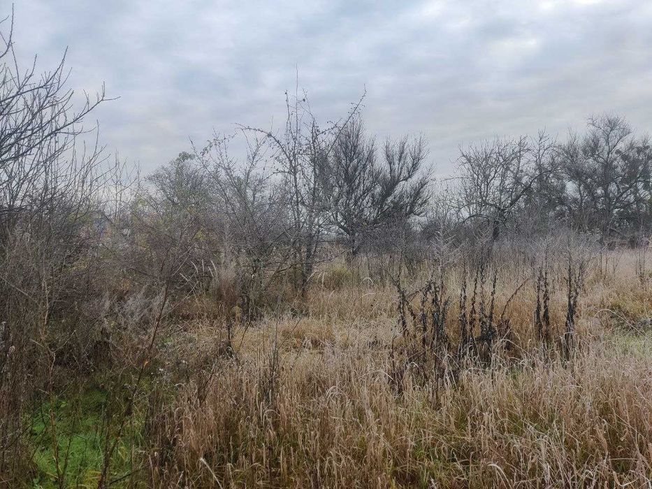 Будинок, с. Копилів, Макарівський р-н.