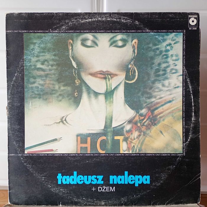 Kolekcja 39 płyt winylowych – dostępne też pojedyńczo