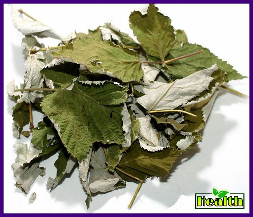 Малина лист (500г)