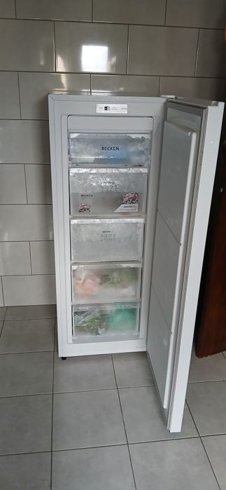 Arca congeladora Becken