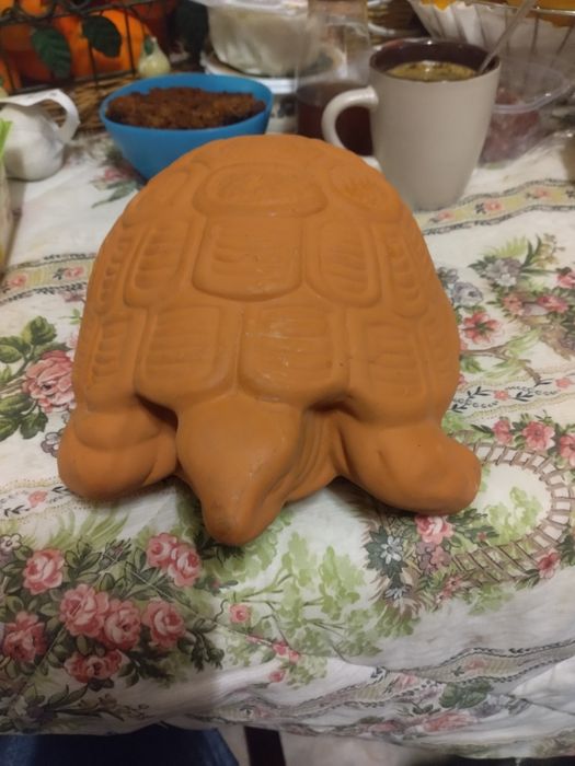 Vendo tartarugas para jardim