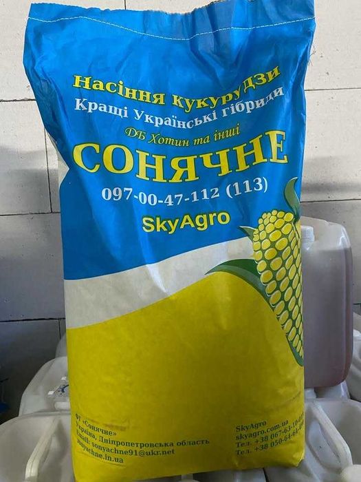 Насіння кукурудзи ДБ Хотин