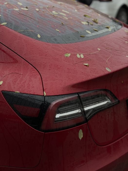 Задні стопи Tesla Model 3 (ліва + права) | США | Оригінал