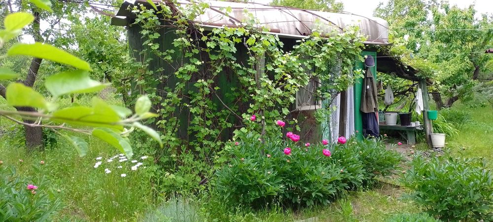 Продам дачу 10 соток