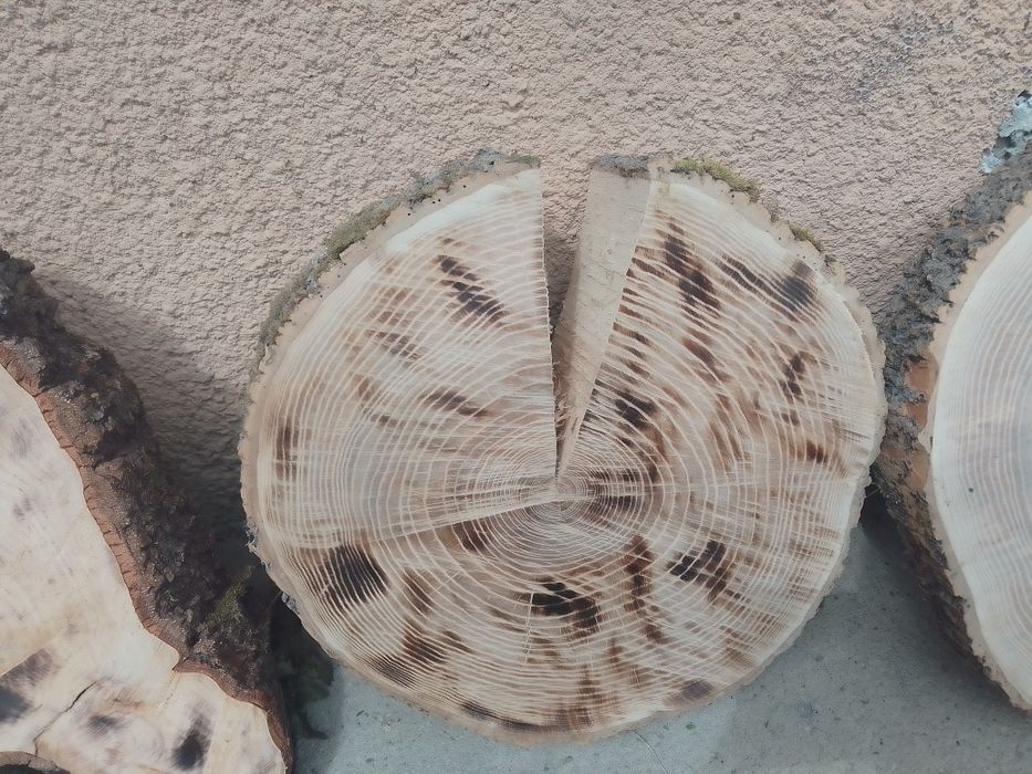 Plastry szlifowane olcha dąb jesion