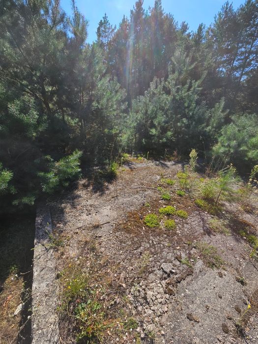 Dzialka rolna w oklicy lasu i rzeki Narew