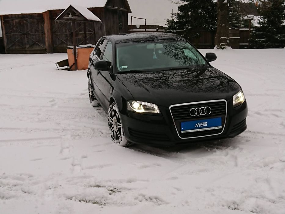 Audi A3 8P 2.0 TDI