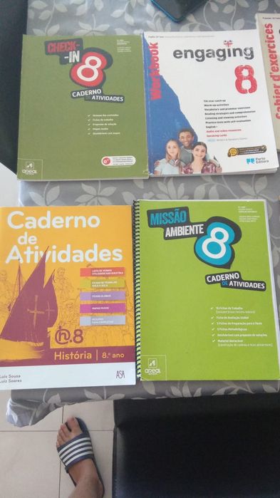 Cadernos de fichas do 8 ano