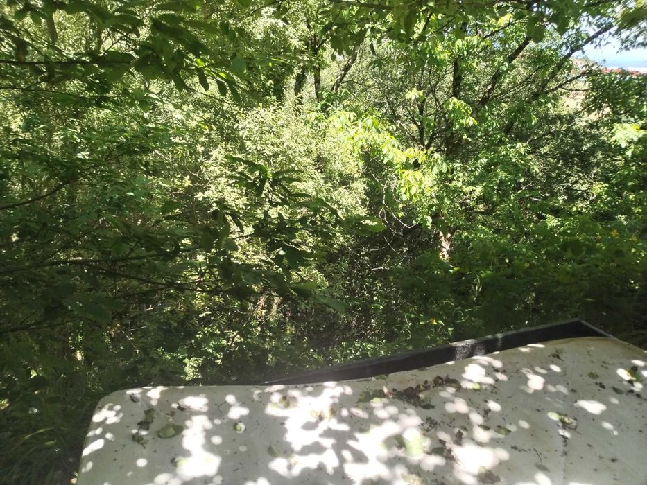 casa isolada na natureza sem vizinhos a