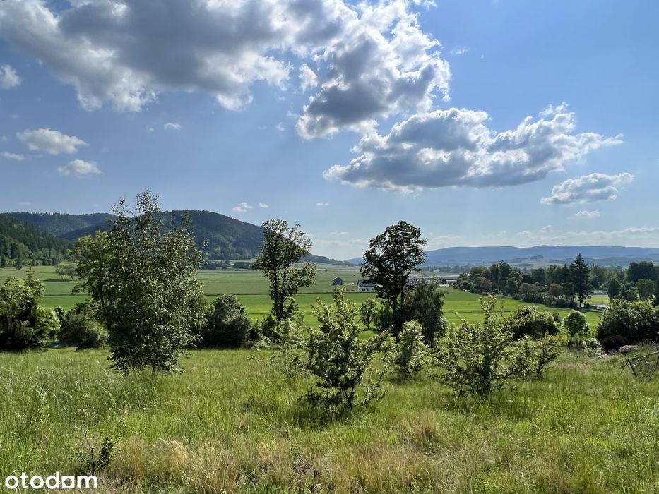 Widokowa działka budowlana asfalt, media, las - PRYWATNIE