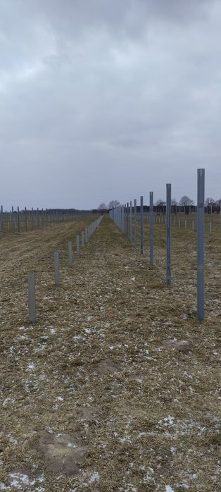Kafarowanie/Palowanie/Wbijanie słupów  pod konstrukcję fotowoltaiczną