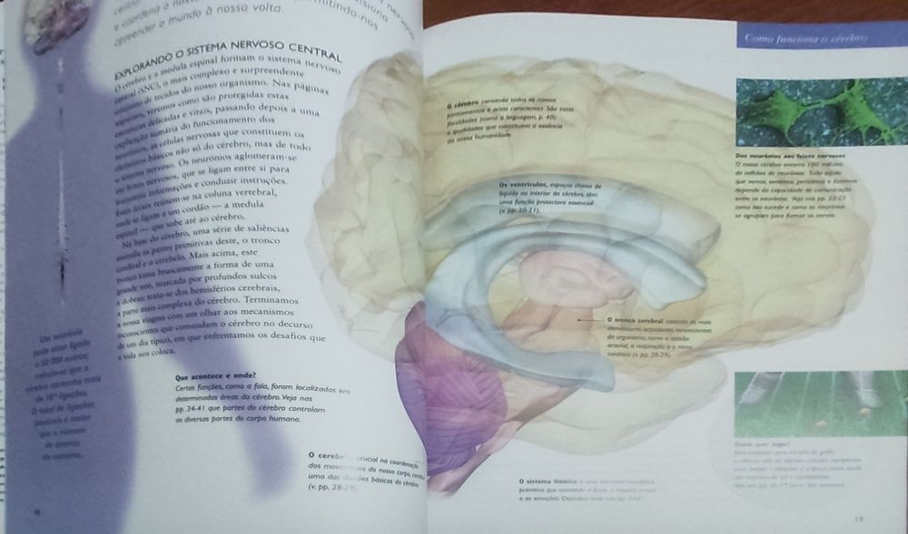 Cérebro e sistema nervoso central - Seleções Reader's Digest