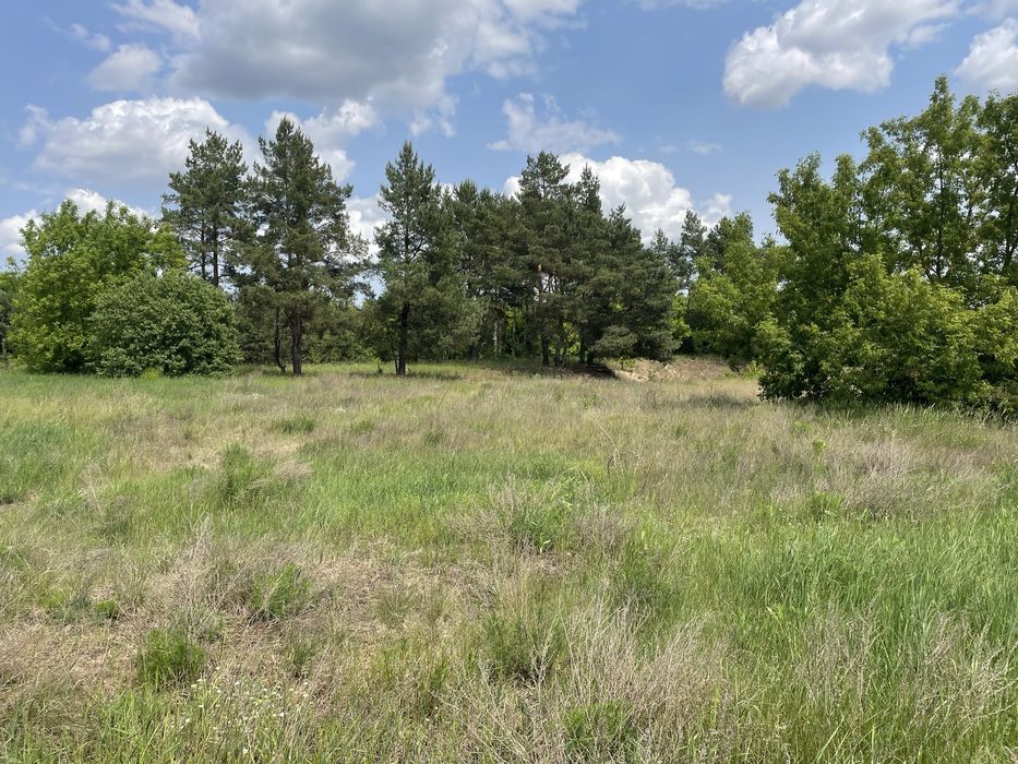 Продам землю 50-25 соток