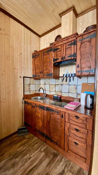 Пропонуємо шикарнті котеджі в мальовничій Східниці Гори Карпати