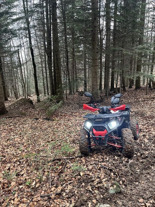 Квадроцикл FORTE 125 ТОРГ Є