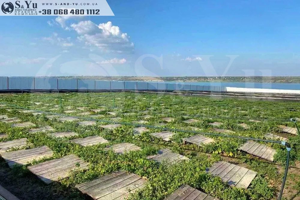Продаж багатофункціонального комплексу (уліточна ферма)