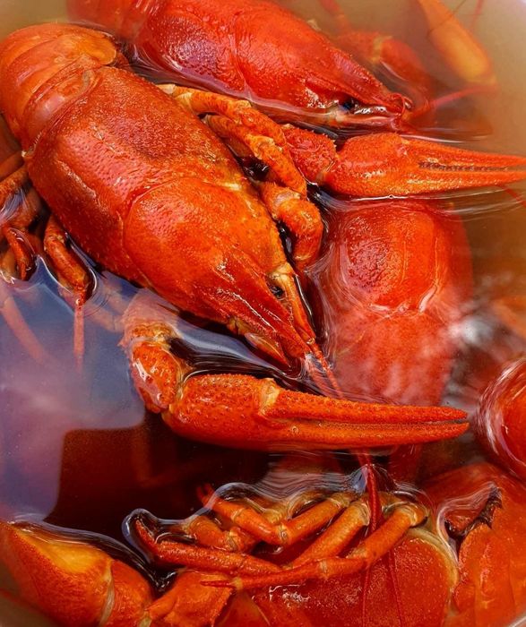 Раки живые и вареные.ЖК Русановская Гавань