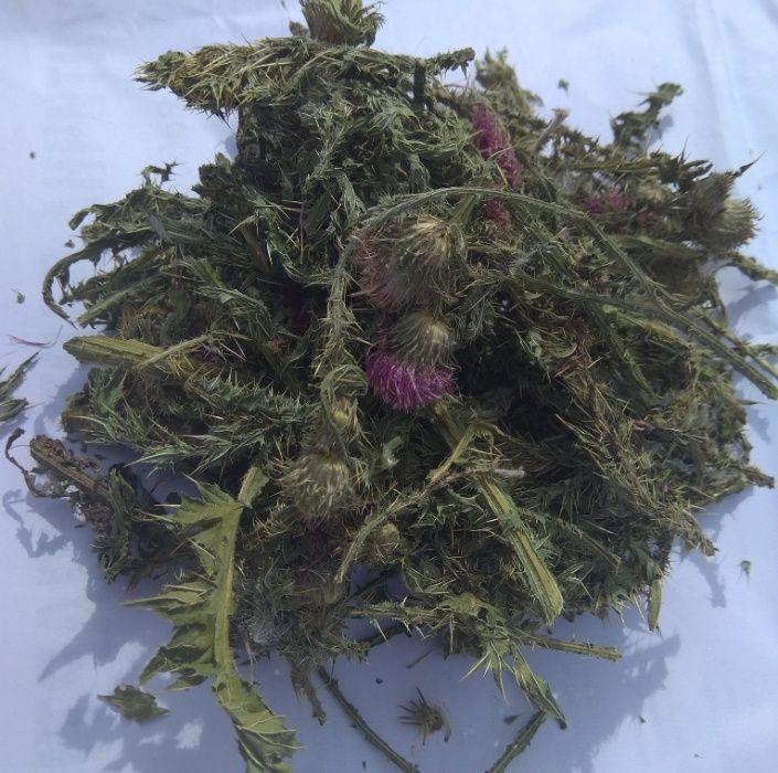 Татарник колючий 500г.