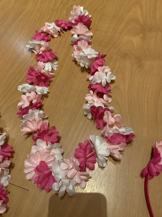 Fato carnaval Havaiana criança como novo