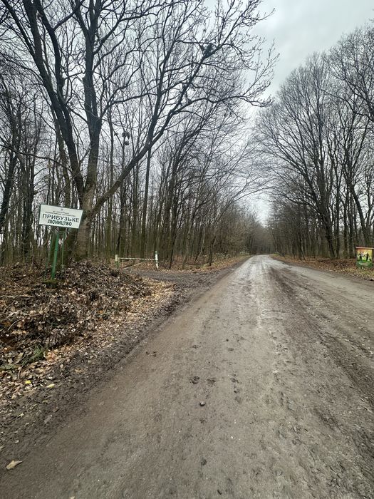 Земельна ділянка площею 1.7 га. Біля лісу!
