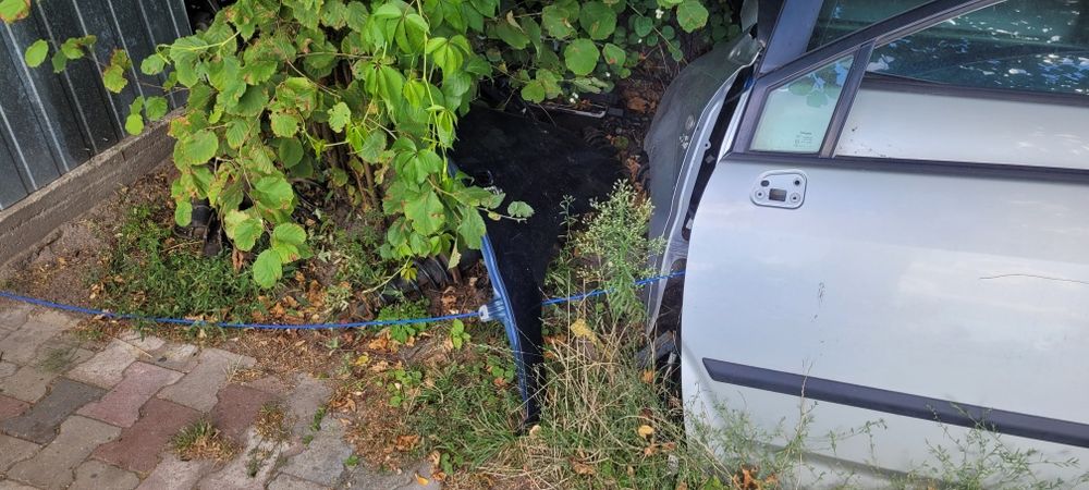Drzwi corolla verso ii kolor 209 1c0
