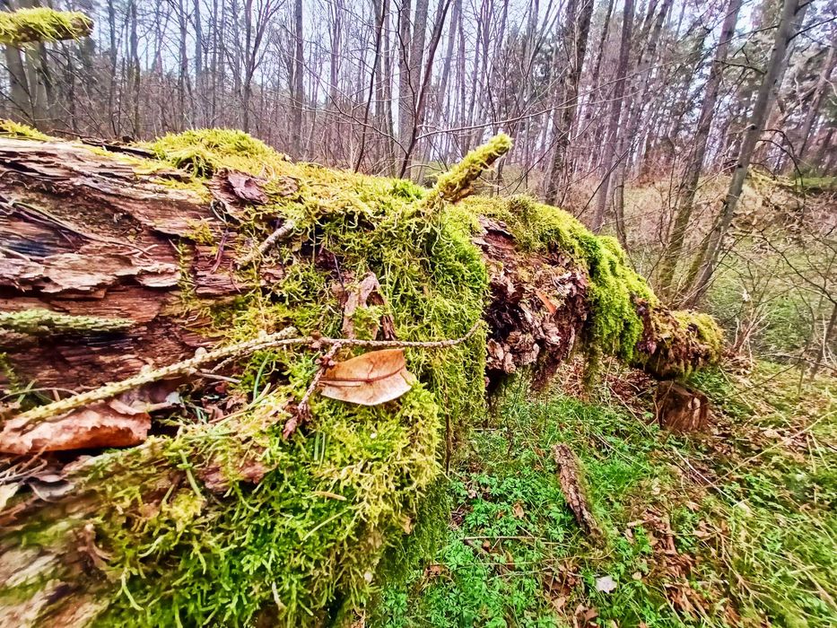 Działka nad Rzeką/Jeziorem