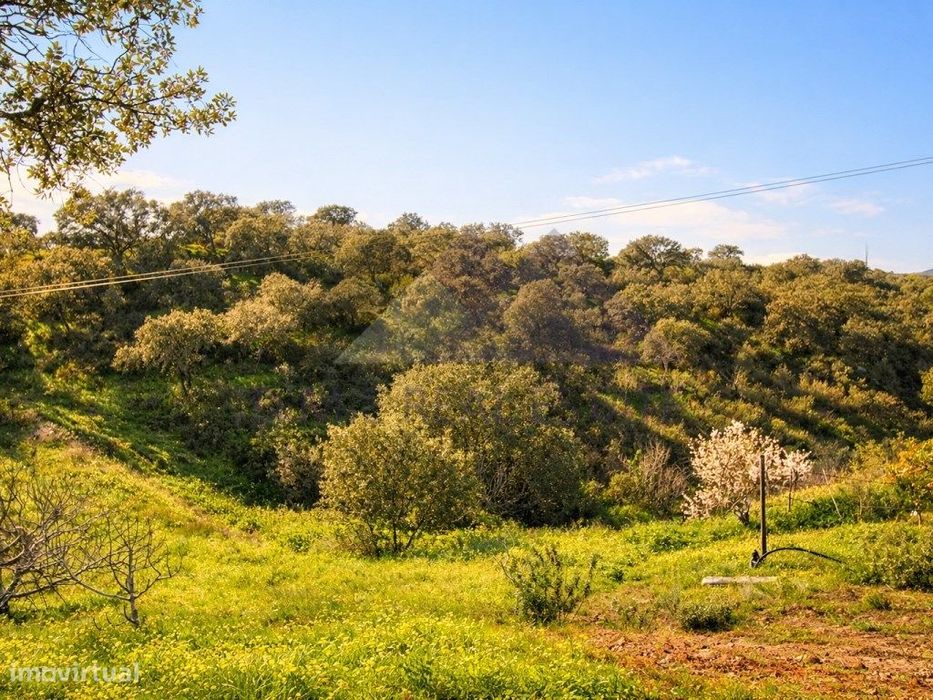 Terreno Rústico | 34.000 m² | Corga da Madeira - Junqueira, Castro ...