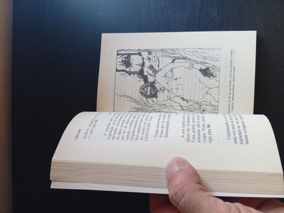 Livro aventuras fantásticas a floresta da morte