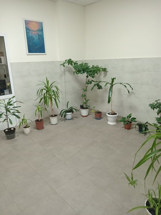 2-комнатная квартира по адресу ул. Приморская (площадь 72 м²) - Atlanta.ua - фото 3