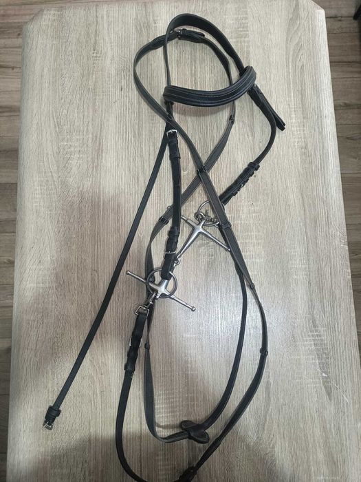 Ogłowia Podogonie Nachrapniki