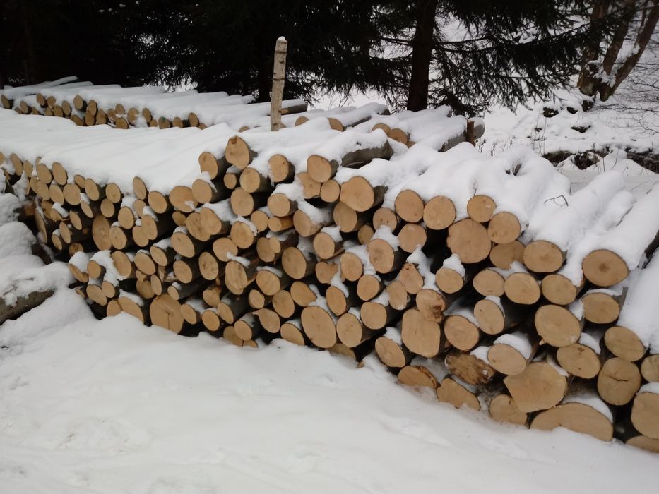 Drewno kominkowe opałowe Buk