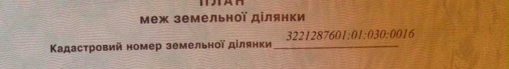 Рудня  земля 65 соток .