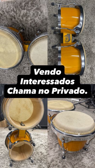 Bongo percussão