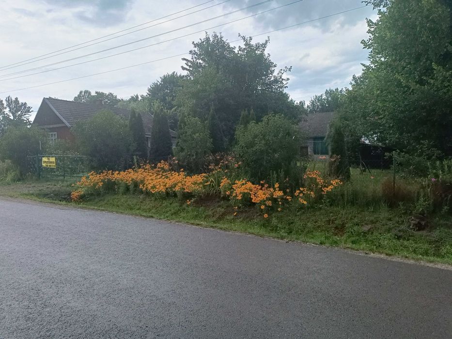 Dom – Nagoszyn - Więcej