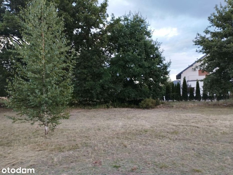 Trzy Działki w Żłobnicy, gmina Kleszczów - Widok 4