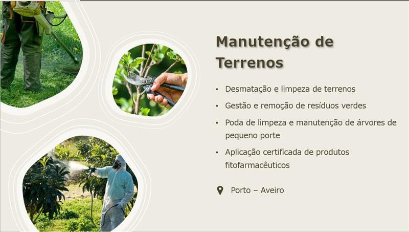 Limpeza e Manutenção de Terrenos
