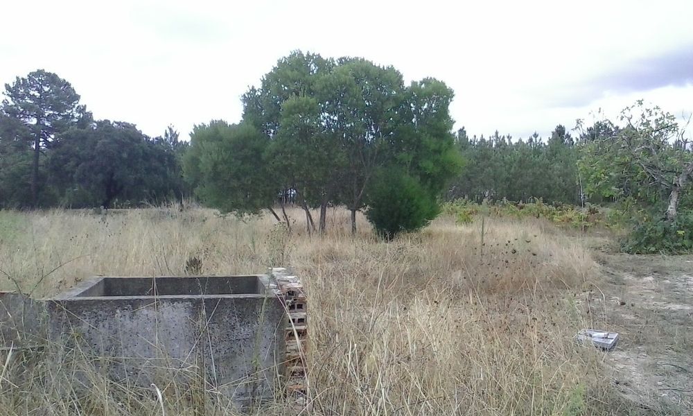 5000 m2 quinta Terreno com ruína troca ou permuta Marinhais