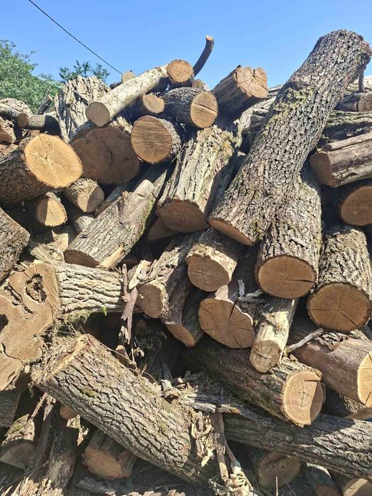 Дрова твердых пород в Измаиле