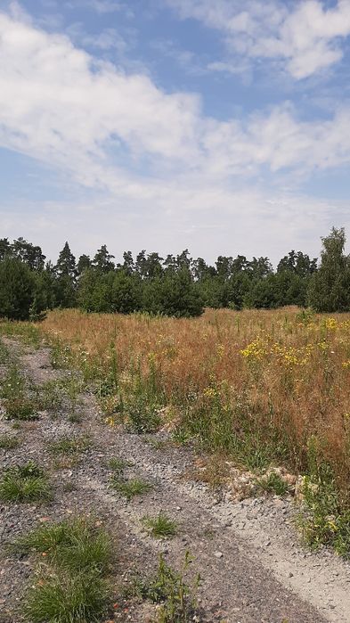 Ділянка М.Рубежівка 15 сот з широким фасадом ліс озеро під забудову