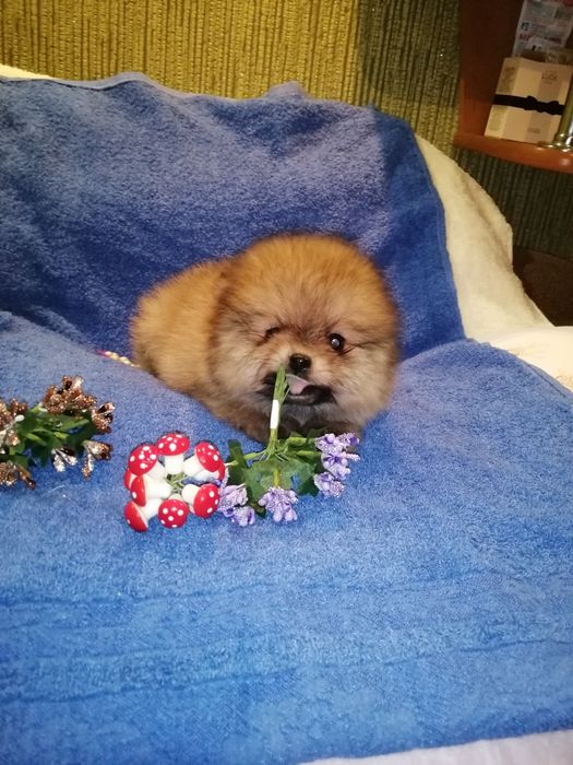 Парень просто позитив