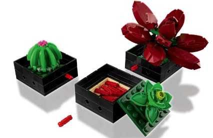 Conjunto LEGO suculentas