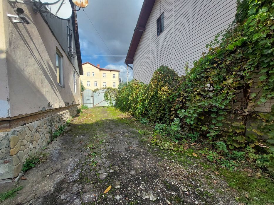 Центр! Два суміжних будинки + 24 сотих ділянка для життя та біз