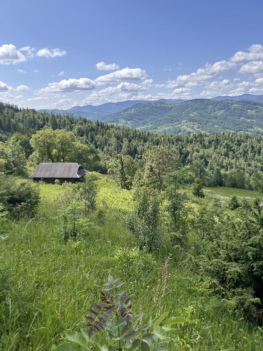 Продаж земельної ділянки з будинком в горах..