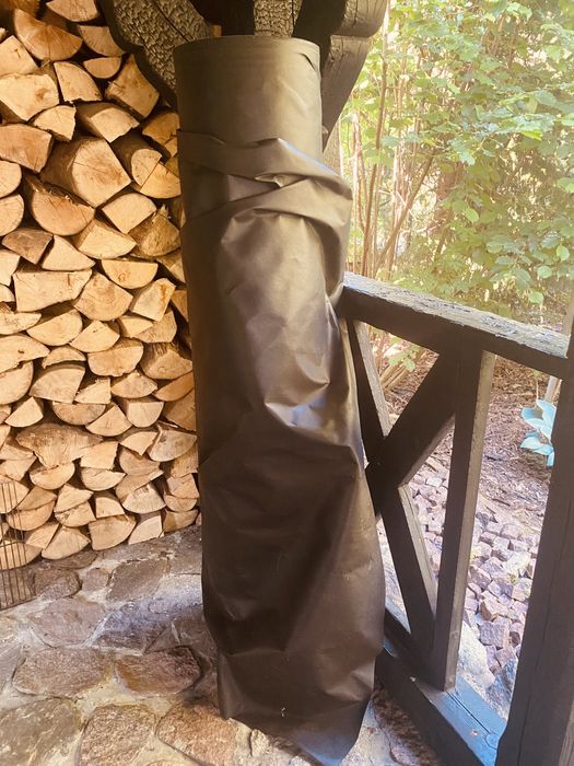 Fizelina czarna ogrodowa