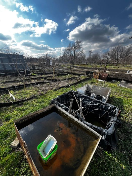 Дача,даманский, придорожное
