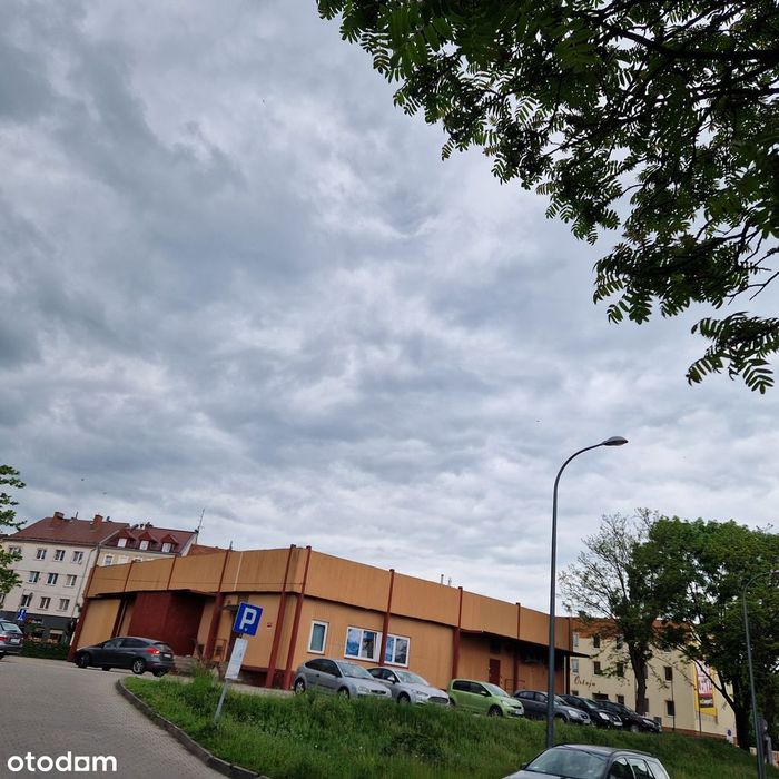 Lokal usługowy z witryną i parkingiem w Szprotawie