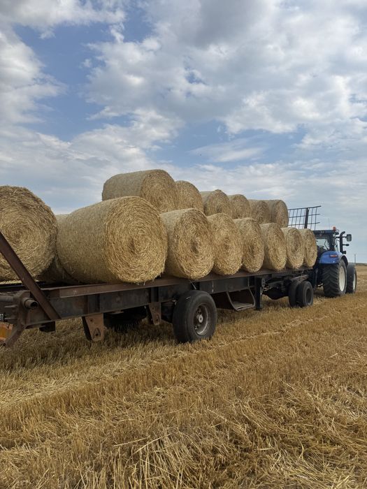 Słoma jeczmienna,belka 120